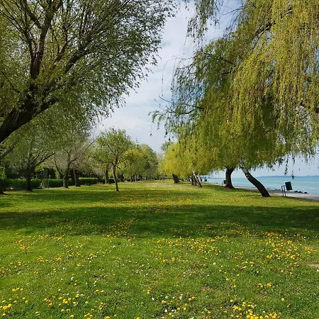 Crystal Es Susanne Panzio