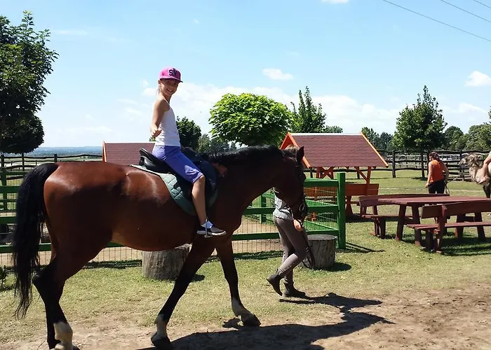 Bed & Breakfast Crystal Es Susanne Panzio Siófok